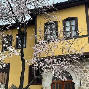 Nesti Inside Of Castle Krujë