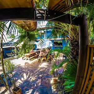  Hostel Cool Bananas Backpackers Australien